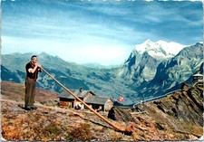 Joueur cor alpes d'occasion  France