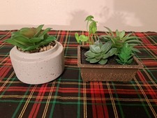 Mini artificial succulent for sale  Spokane