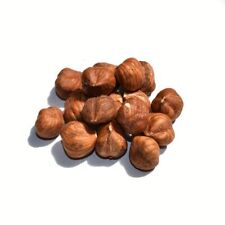 Nocciole sgusciate crude usato  Fondi