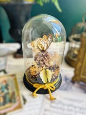 Vintage curiosity glass for sale  WALSALL
