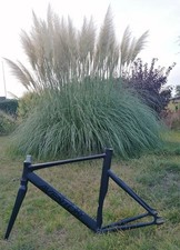 aventon usato  Spedire a Italy