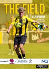 Westfield horsham cup for sale  BILLERICAY