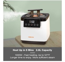 Portable personal steam for sale  Memphis