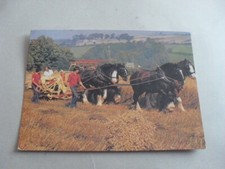 Postcard horse ploughing for sale  SHEFFIELD