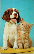 Postal De Cachorro Y Gatito Pals comprar usado  Enviando para Brazil