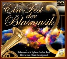 Fest blasmusik 4er gebraucht kaufen  Berlin