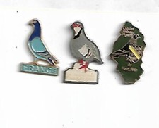 Lot pin pigeons d'occasion  Pessac