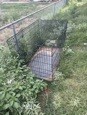 large xl dog crate for sale  Carlsbad