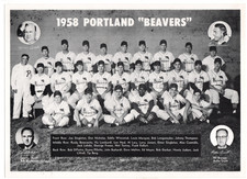 portland beavers for sale portland beavers for sale South Jordan