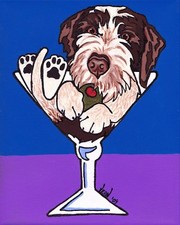 11x14 german wirehair for sale  Broomfield
