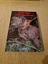Little dogs big for sale  DEVIZES