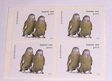 4 parakeets for sale 4 parakeets for sale Hollywood