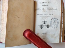 Contadino istruito apicoltura usato  Arezzo