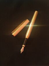Penna stilografica vintage usato  Blufi
