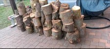 Brennholz kaminholz gebraucht kaufen  Neunkirchen