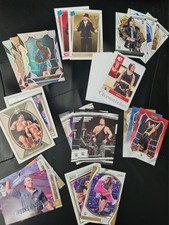 Wwe cards panini gebraucht kaufen  Weyhe