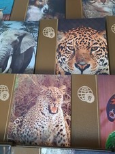 Royaume animaux encyclopédie d'occasion  Cormeilles-en-Parisis