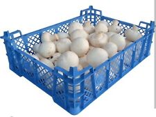 Plastic stackable storage for sale  ORPINGTON