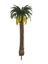 Palma innesto senza usato Palma innesto senza usato  Napoli