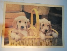 Vintage poster cute for sale  REDDITCH