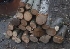 5kg firewood natural for sale  UK