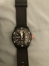 Luminox quartz bear gebraucht kaufen  Schönwalde