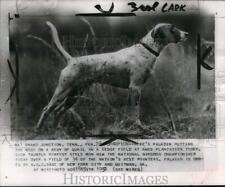 1951 press photo for sale  Memphis