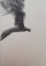 Emilio Greco - Disegno per Ovidio - litografia, 1965 comprar usado  Enviando para Brazil