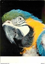 Animaux oiseaux perroquets usato  Spedire a Italy