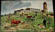 1909 brocken hotel gebraucht kaufen  Barsinghausen