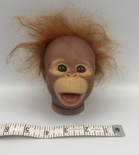 Baby orangutan monkey for sale  Millerstown