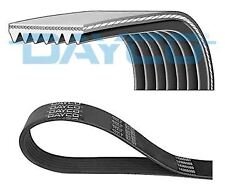 Courroie accessoire nissan d'occasion  France