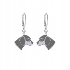 Orecchini argento con usato Orecchini argento con usato  Spedire a Italy