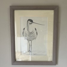 Graphite drawing avocate for sale  PERSHORE