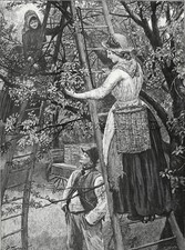 orchard ladders for sale orchard ladders for sale Lake Villa
