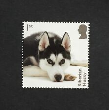 Selo postal de 1ª classe Husky Siberiano Dog GB MNH 2024 - postagem combinada comprar usado  Enviando para Brazil