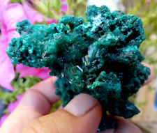 Dioptase originale congo d'occasion  Lagnieu