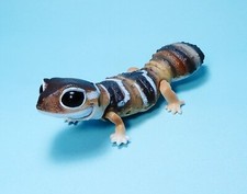 Bandai animal encyclopedia d'occasion  Expédié en Belgium