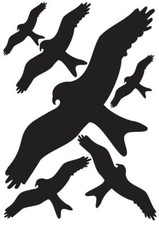 Vogel aufkleber vögel gebraucht kaufen  Baesweiler