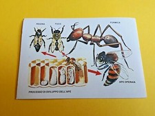 Figurina sticker flash usato  Soliera