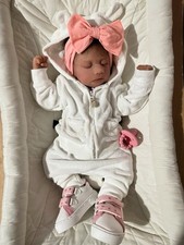 Reborn baby dolls for sale  Erie