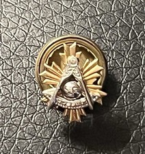 Vintage masonic past for sale  Brewster