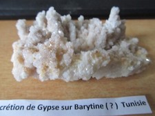 Concretion gypse barytine d'occasion  Bonneuil-Matours