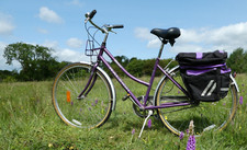 Woman raleigh pioneer for sale  CAMBRIDGE