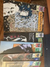 Sandman 1994 origini usato  Albanella