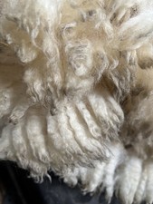 Raw sheep wool for sale Raw sheep wool for sale  LLANDYSUL
