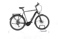 Pegasus strong evo gebraucht kaufen  Kempten (Allgäu)