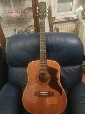 Chitarra acustica eko usato  Torino