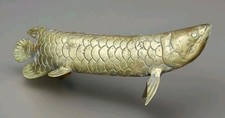 Large arowana fish for sale  LONDON