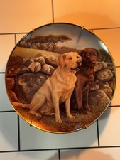 Vtg labrador plates for sale  Pray